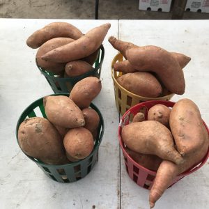 Sweet Potatoes