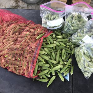 Okra