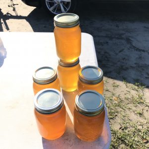 Natural Raw Honey