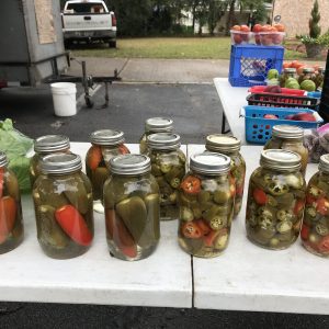 Pickled Jalapenos Peppers